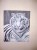 Tigre blanc sur fond noir