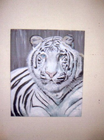 Tigre blanc sur fond noir