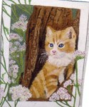 chaton au pied d'un tronc d'arbre