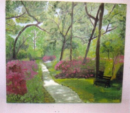 Chemin sous un sous-bois et banc